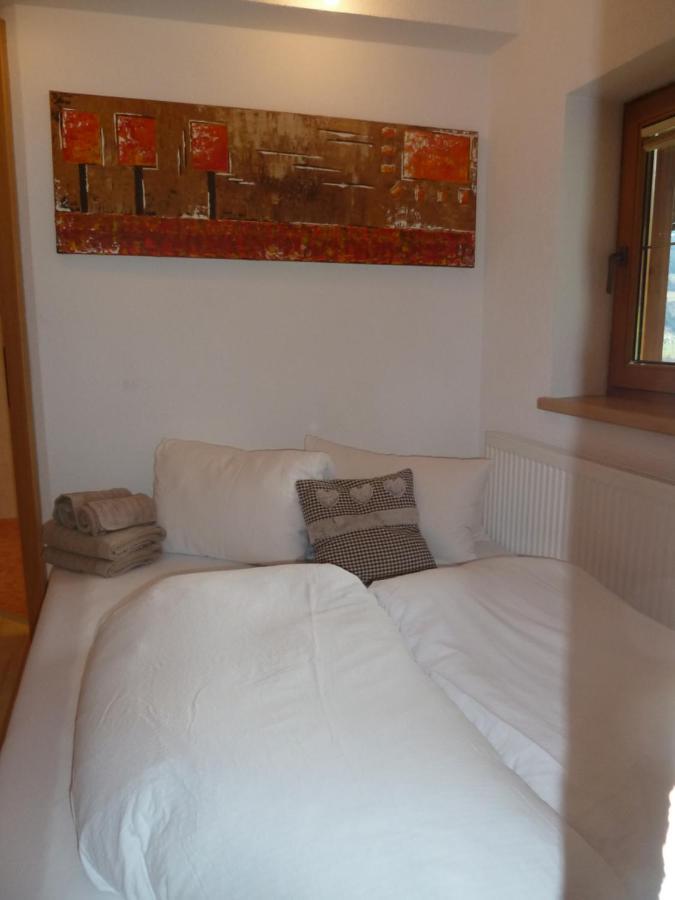 Appartements-Kaltenbach Extérieur photo